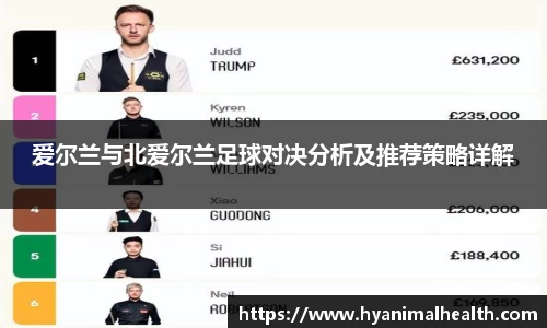 爱尔兰与北爱尔兰足球对决分析及推荐策略详解