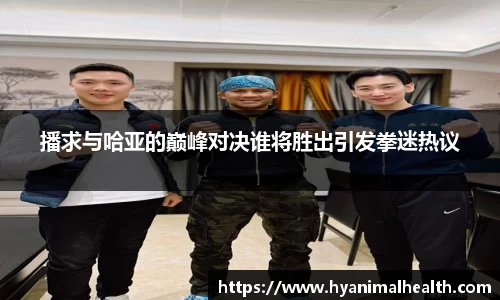 播求与哈亚的巅峰对决谁将胜出引发拳迷热议